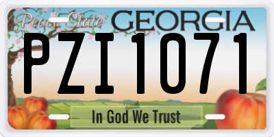 GA license plate PZI1071