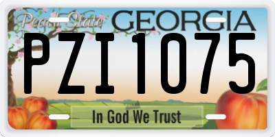 GA license plate PZI1075