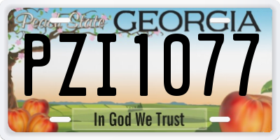 GA license plate PZI1077