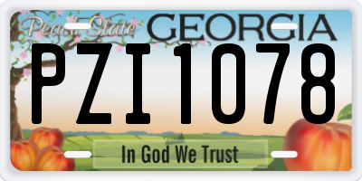 GA license plate PZI1078