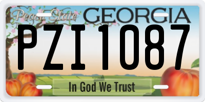 GA license plate PZI1087