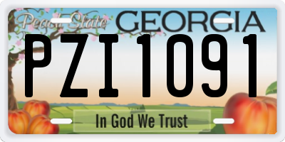 GA license plate PZI1091