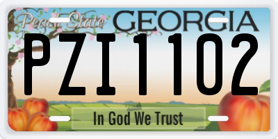 GA license plate PZI1102
