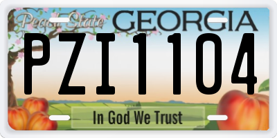 GA license plate PZI1104