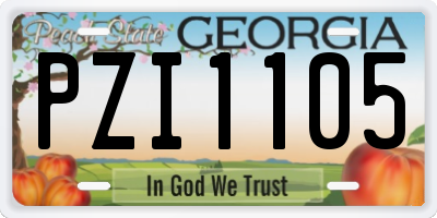 GA license plate PZI1105