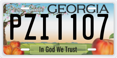 GA license plate PZI1107