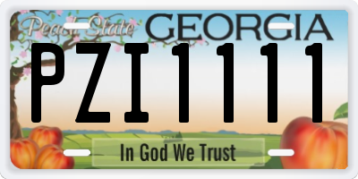 GA license plate PZI1111
