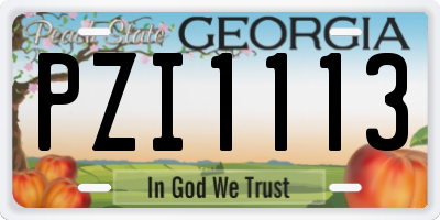 GA license plate PZI1113
