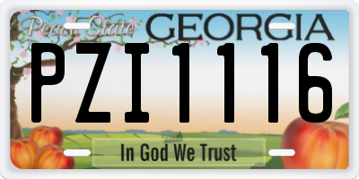 GA license plate PZI1116