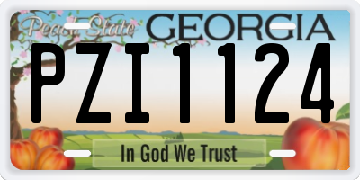GA license plate PZI1124