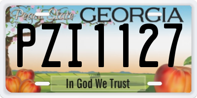 GA license plate PZI1127