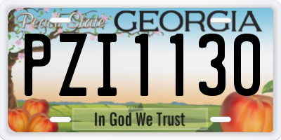 GA license plate PZI1130