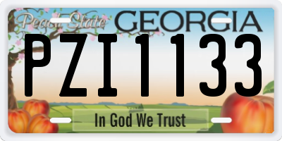 GA license plate PZI1133