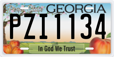 GA license plate PZI1134