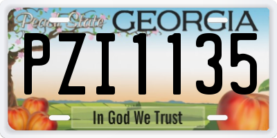 GA license plate PZI1135