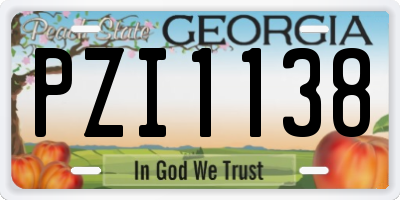 GA license plate PZI1138