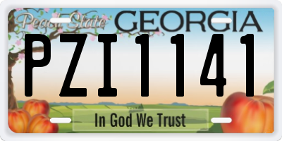 GA license plate PZI1141