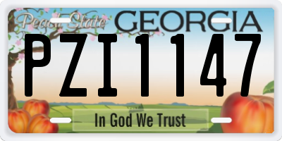 GA license plate PZI1147