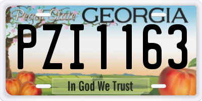 GA license plate PZI1163