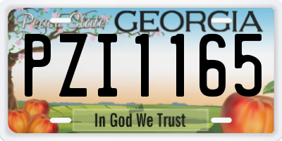 GA license plate PZI1165