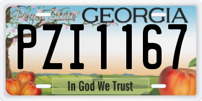 GA license plate PZI1167