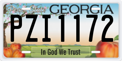GA license plate PZI1172