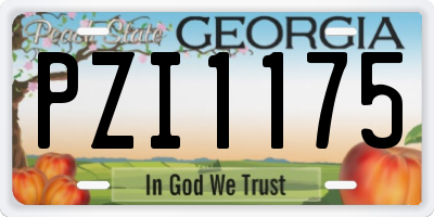 GA license plate PZI1175