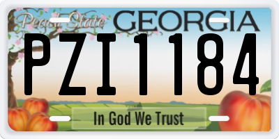 GA license plate PZI1184