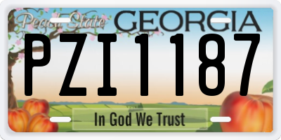 GA license plate PZI1187