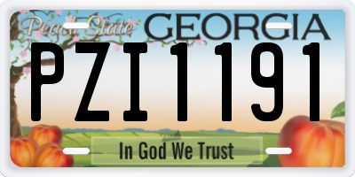 GA license plate PZI1191