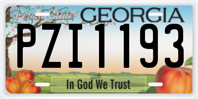 GA license plate PZI1193