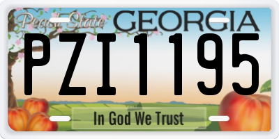GA license plate PZI1195
