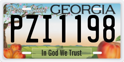GA license plate PZI1198
