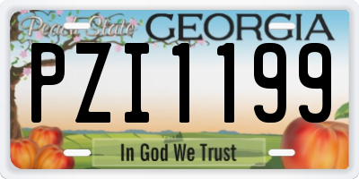 GA license plate PZI1199