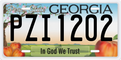 GA license plate PZI1202