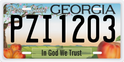 GA license plate PZI1203