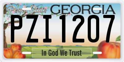 GA license plate PZI1207