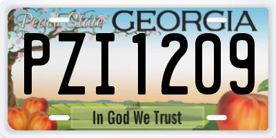 GA license plate PZI1209