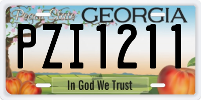GA license plate PZI1211