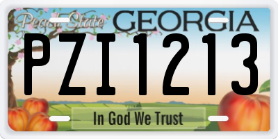 GA license plate PZI1213
