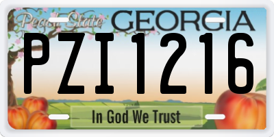 GA license plate PZI1216