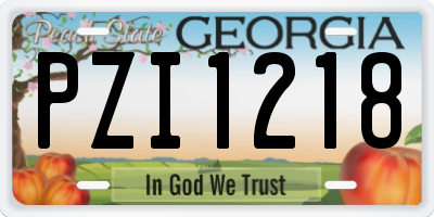 GA license plate PZI1218
