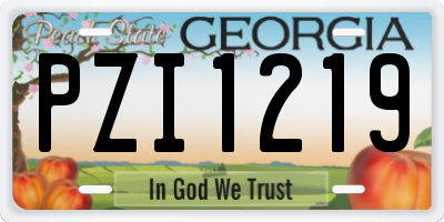 GA license plate PZI1219