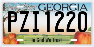 GA license plate PZI1220