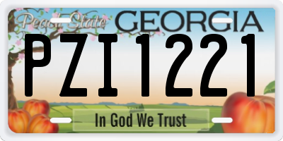GA license plate PZI1221