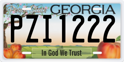 GA license plate PZI1222