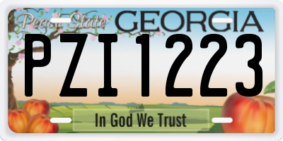 GA license plate PZI1223