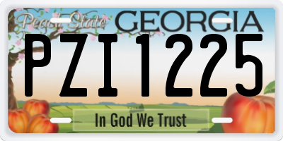 GA license plate PZI1225