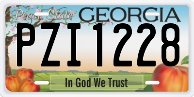 GA license plate PZI1228