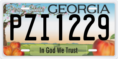GA license plate PZI1229
